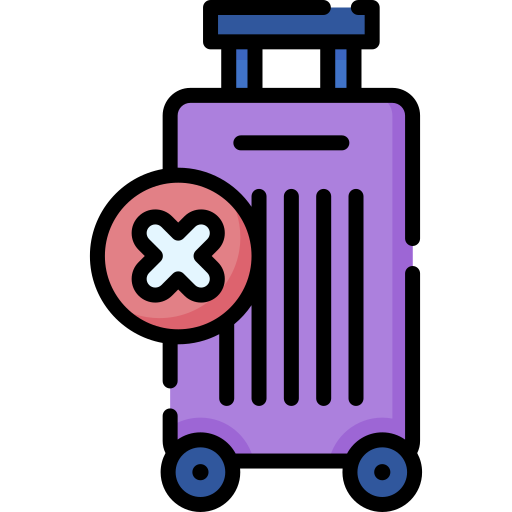 Loss or delay of Checked-in Baggage