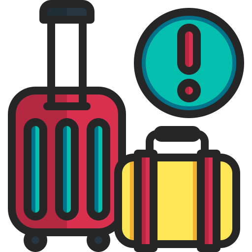 Baggage Cover